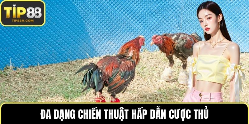 Đa dạng chiến thuật hấp dẫn cược thủ
